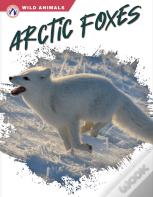 Arctic Foxes
