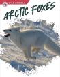 Arctic Foxes - Preview