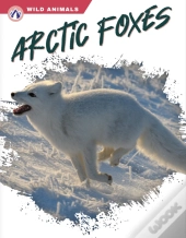 Arctic Foxes