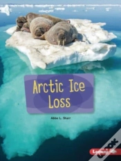 Capa do artigo Arctic Ice Loss