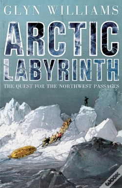 Capa do artigo Arctic Labyrinth