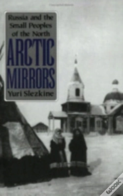 Capa do artigo Arctic Mirrors
