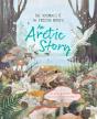 Arctic Story - Preview