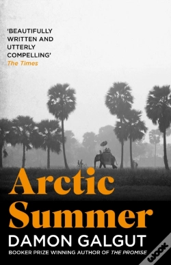 Capa do artigo Arctic Summer