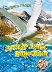 Capa do artigo Arctic Tern Migration