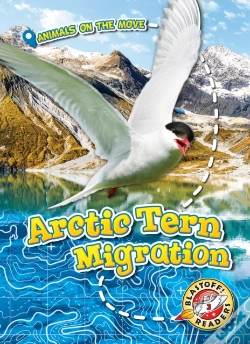 Capa do artigo Arctic Tern Migration