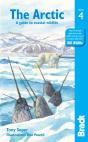 Arctic - Preview
