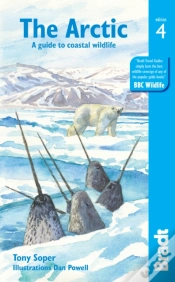 Capa do artigo Arctic