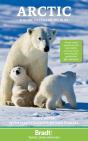 Arctic - Preview