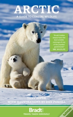 Capa do artigo Arctic