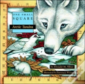 Arctic Tundra