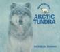 Arctic Tundra - Preview