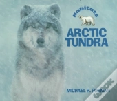Arctic Tundra