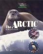 Arctic - Preview
