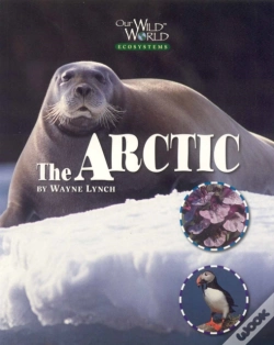 Capa do artigo Arctic