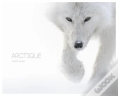 Arctique