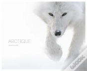 Capa do artigo Arctique