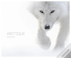 Capa do artigo Arctique