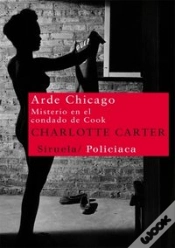 Capa do artigo Arde Chicago