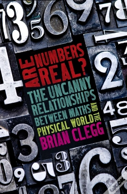 Capa do artigo Are Numbers Real?