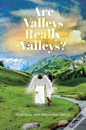 Capa do artigo Are Valleys Really Valleys?