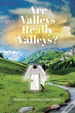 Capa do artigo Are Valleys Really Valleys?