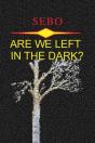 Are We Left In The Dark? - Preview