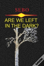 Capa do artigo Are We Left In The Dark?