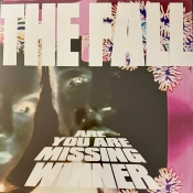 Capa do artigo Are You Are Missing Winner - Vinil
