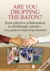 Capa do artigo Are You Dropping The Baton?