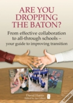 Capa do artigo Are You Dropping The Baton?