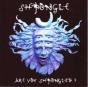 Are You Shpongled? - CD - Preview