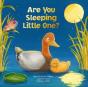 Are You Sleeping Little One - Preview