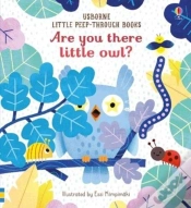 Capa do artigo Are You There Little Owl?