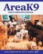 Areak9 - Preview