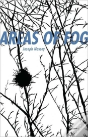 Capa do artigo Areas Of Fog