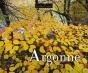 Argonne - Preview