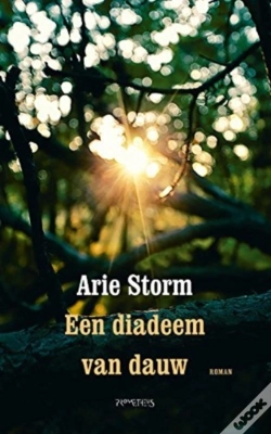 Capa do artigo Arie Storm