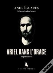 Capa do artigo Ariel Dans L