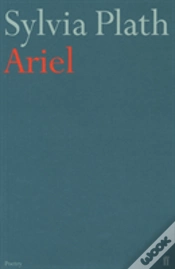 Capa do artigo Ariel