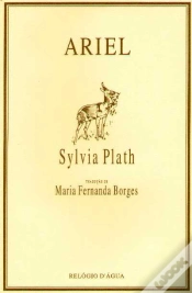 Capa do artigo Ariel