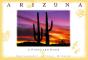 Arizona A Postcard Book - Preview