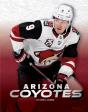 Arizona Coyotes - Preview