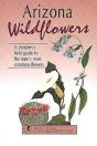 Arizona Wildflowers - Preview