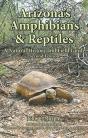 Arizona'S Amphibians & Reptiles - Preview