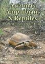 Arizona'S Amphibians & Reptiles - Preview