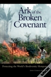 Ark Of The Broken Covenant