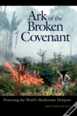 Capa do artigo Ark Of The Broken Covenant