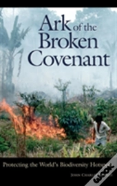 Ark Of The Broken Covenant