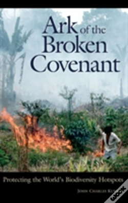 Capa do artigo Ark Of The Broken Covenant